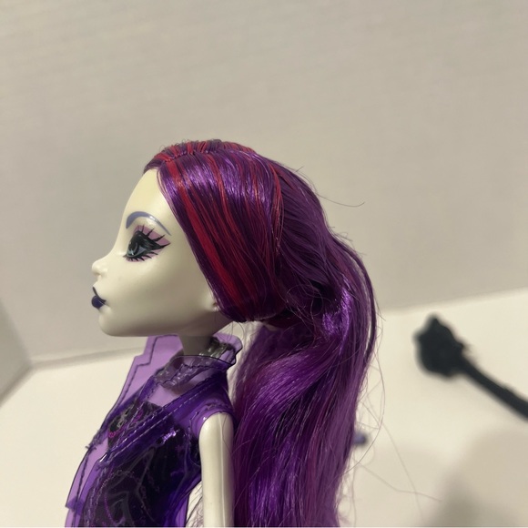 SPECTRA - Picture 7 of 8